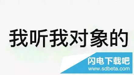 月光下的凤尾竹—彩云之南西双版纳游记
