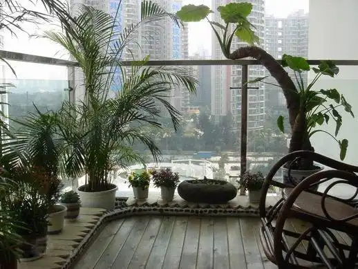 白领小资必备的入户小花园 搭配镂空玄关超雅致