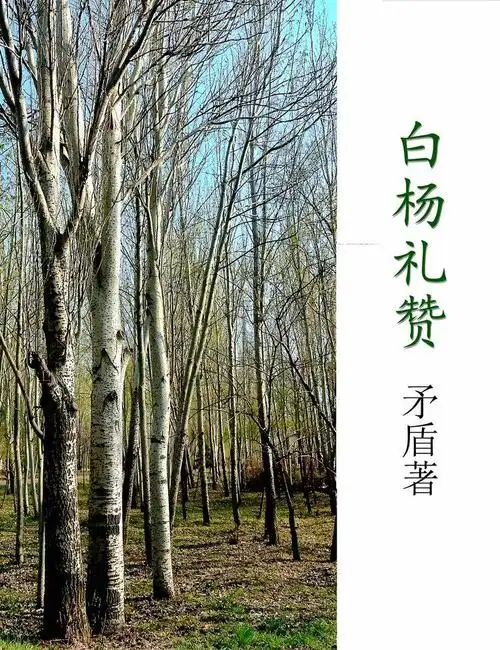白杨礼赞