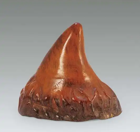 亚洲犀角和非洲犀角怎么快速区分?