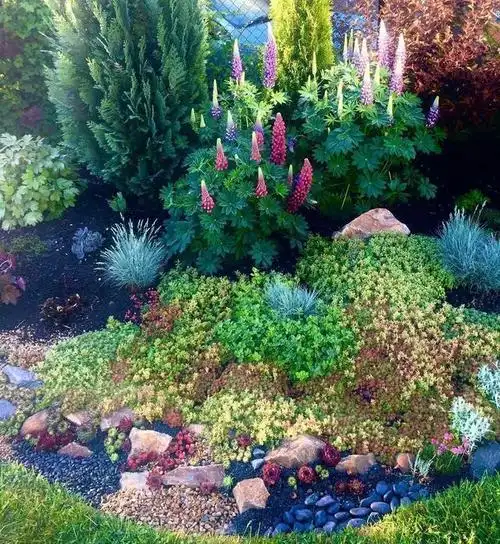 庭院景观设计中的微景观,精致的细节美是你值得拥有的!