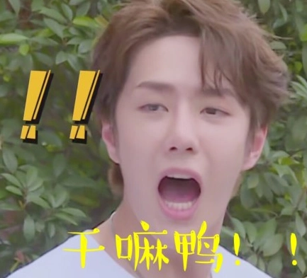 王一博搞笑明星极限挑战小哥哥gif动图_动态图_表情包下载_soogif