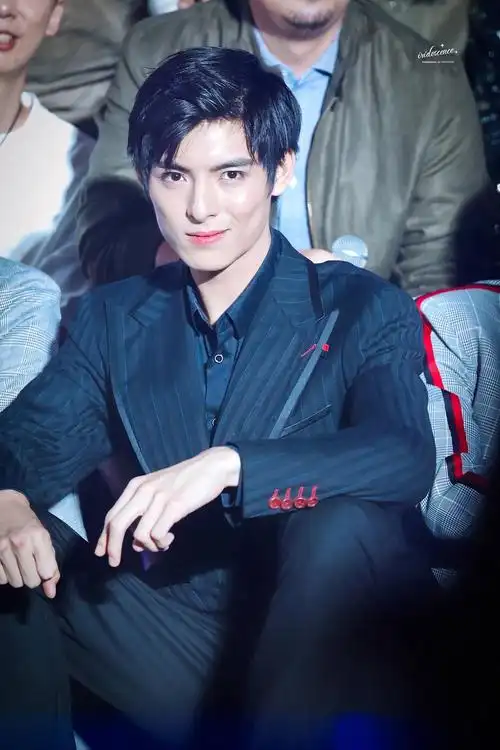 王皓轩【图】2019稻米节黑西装(三)