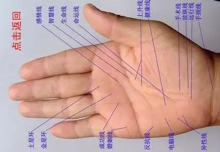 女,求看手相,谢谢啦