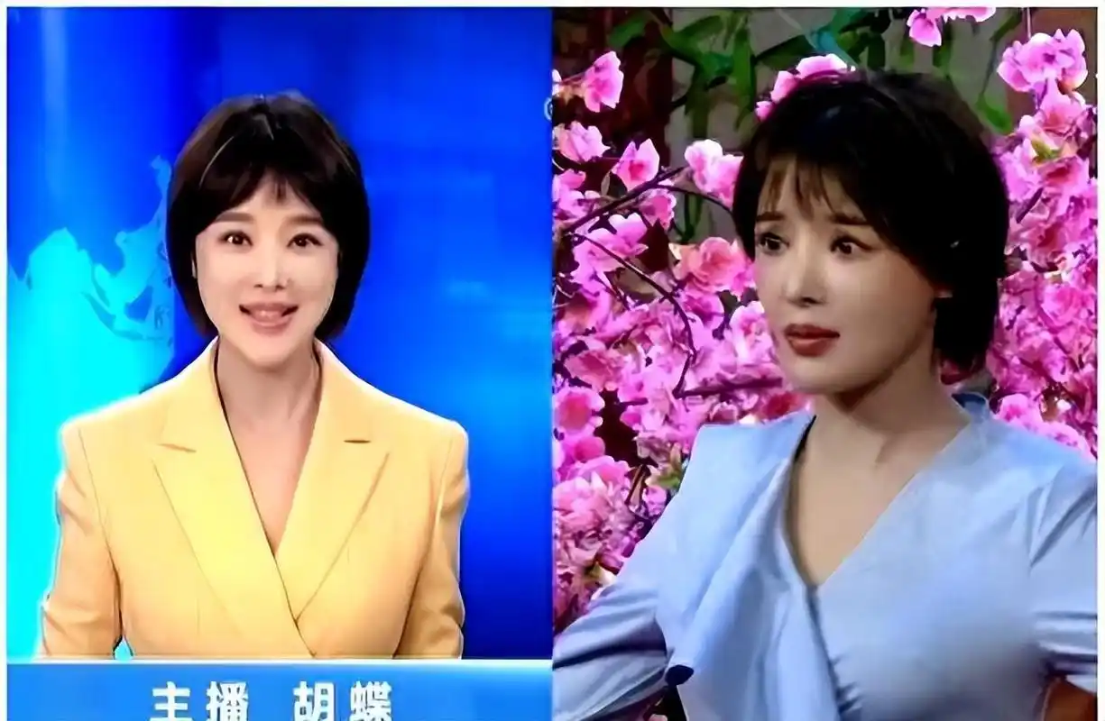 回顾央视胡蝶我这辈子正确的选择就是为导演陆川生下一儿一女