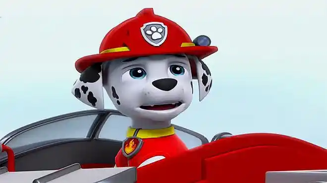 狗狗巡逻队毛毛喜欢车子 汪汪队立大功