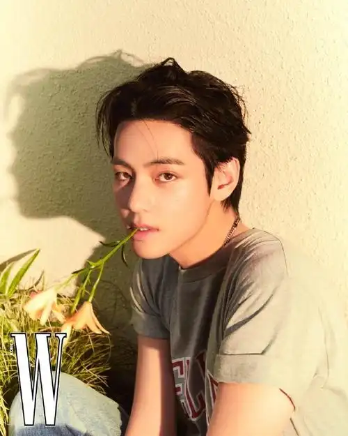 金泰亨头像##金泰亨kpop永一