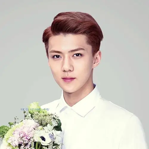 求exo代言这张图片的单人照,特别是世勋的