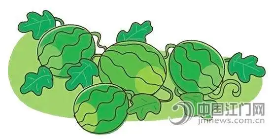 卖西瓜简笔画集