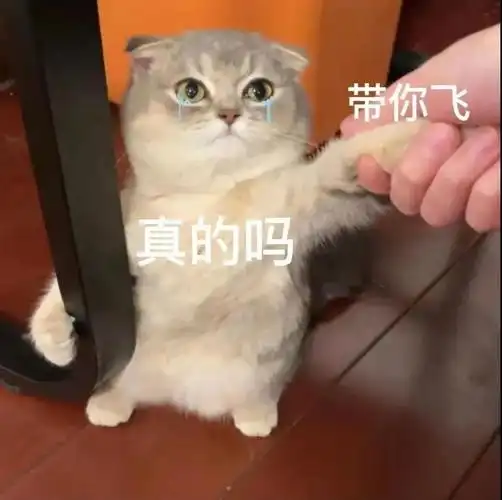 抖音最火猫猫蒜头可爱表情包