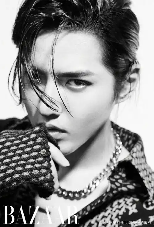 吴亦凡芭莎黑白湿发大片