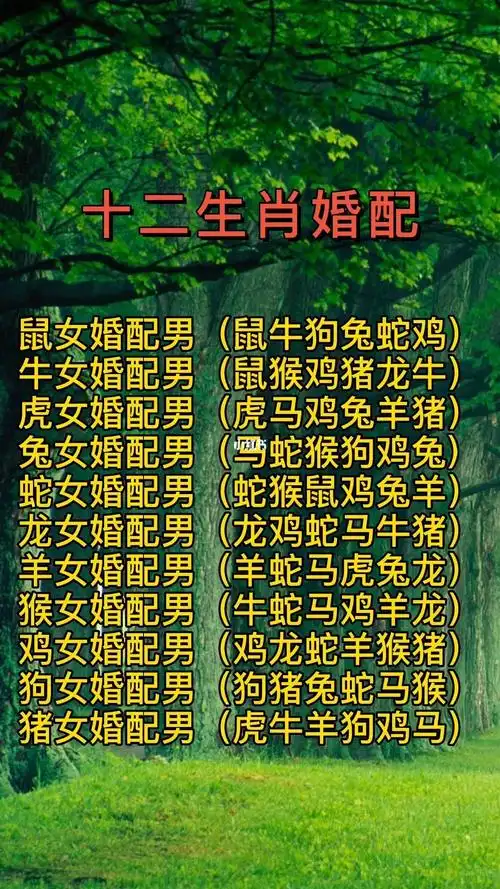 男鼠和十二生肖的婚姻配对,男鼠和十二生肖的婚姻配对图