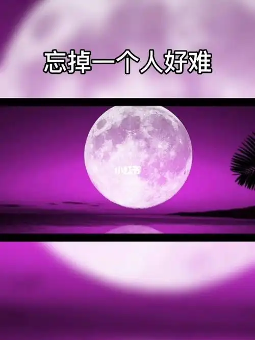 忘掉一个人真的好难