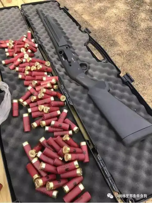 霰弹枪的乐趣和魅力来自海外党对喷子的爱