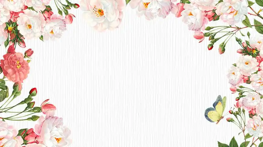 清新植物花卉幻灯片ppt模板素材免费下载