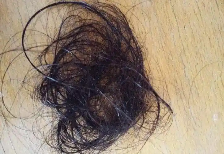 如何处理掉落地上的头发