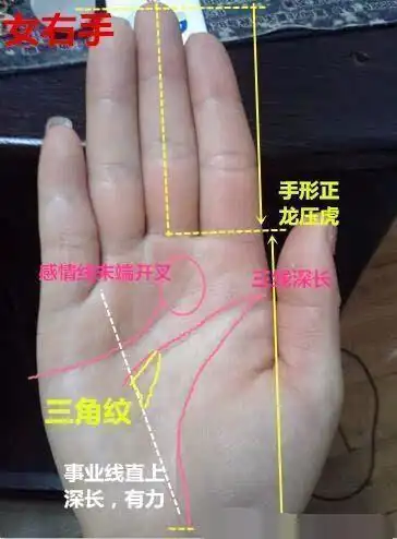 凤眼纹位于大拇指的中间指节纹上,由两条闭合的线纹构成,形成像丹凤眼