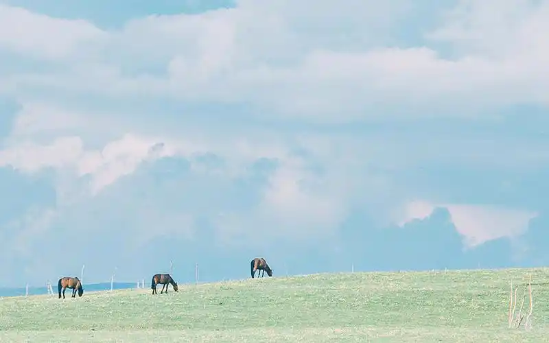 清新唯美天空高清电脑桌面壁纸下载,简约清新唯美图片,欢迎登陆美桌网