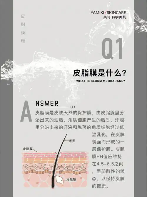皮肤屏障究竟有多重要71皮脂膜受损如何修复
