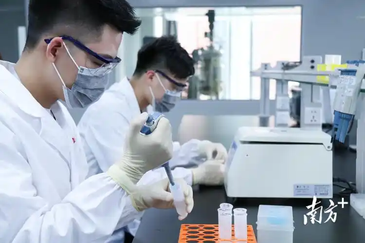 菲鹏生物实验室