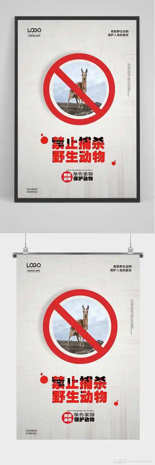禁止捕杀野生动物海报