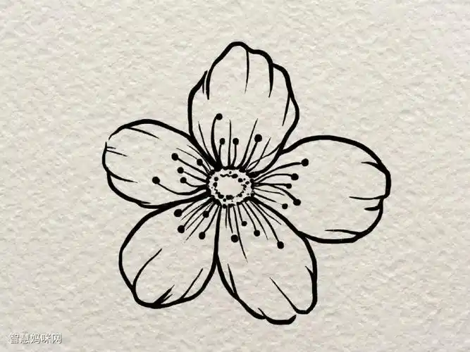 一朵小花花简笔画画法