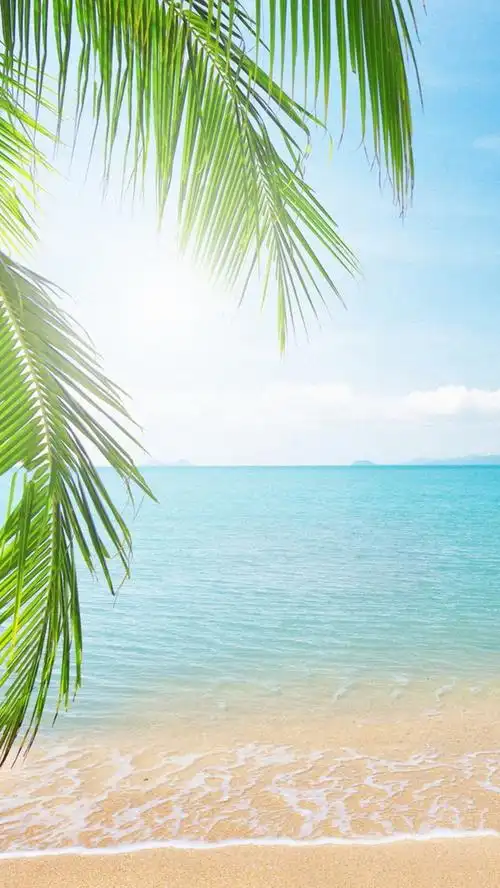 阳光沙滩h5背景