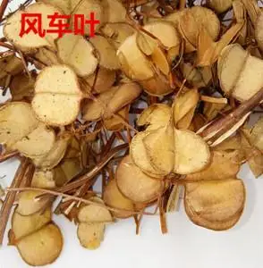 清风藤 汉防己 寻风藤 大风藤野生排风藤追骨风122人付款18