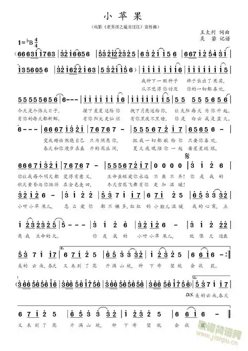 小苹果的歌谱