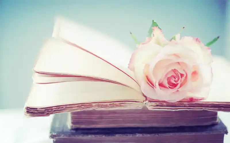 初季节,回忆成思念 -小清新-唯美图片大全