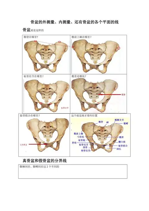 妇产科骨盆资料