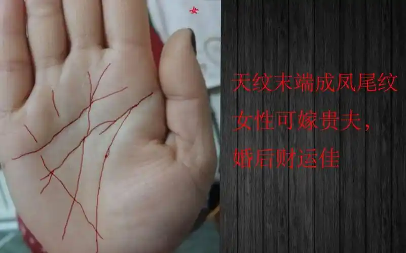 手相案例分析9女性天纹末端成凤尾纹可嫁贵夫婚后财运佳