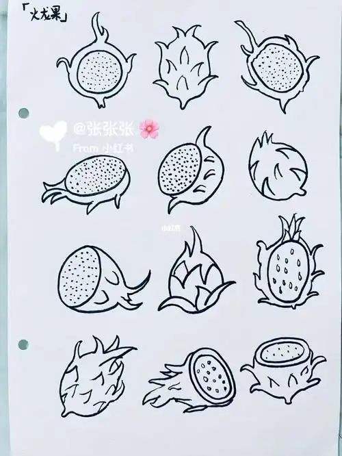 简笔画火龙果00