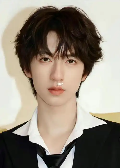 贺峻霖  #月光少年贺峻霖  #日系  #日系男孩  #卷毛  #帅哥  创