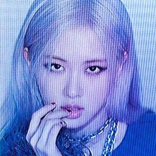 blackpink全员头像