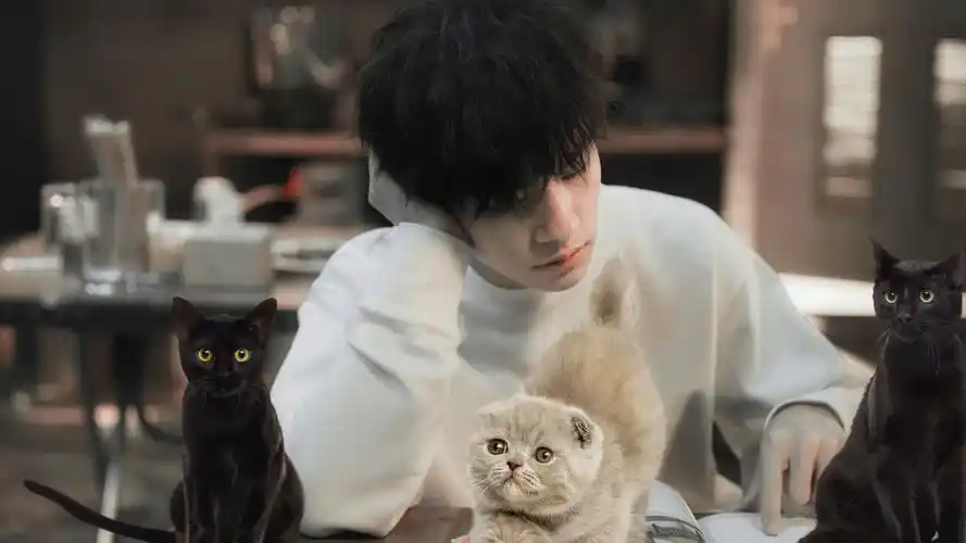 易烊千玺 - 堆糖,美图壁纸兴趣社区