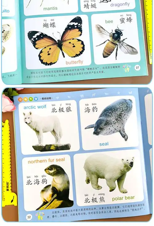 小树丫宝宝双语启蒙认知大全动物大全幼小衔接早教书快速认识动物宝宝