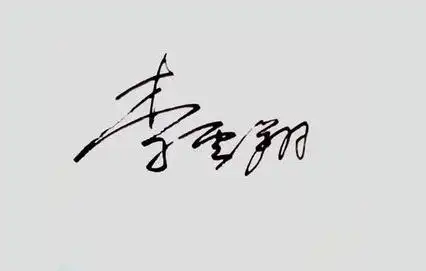手写艺术签名设计,李的艺术签名怎么写图6