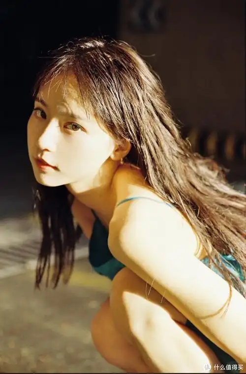 诸葛大力-演员成果的写真