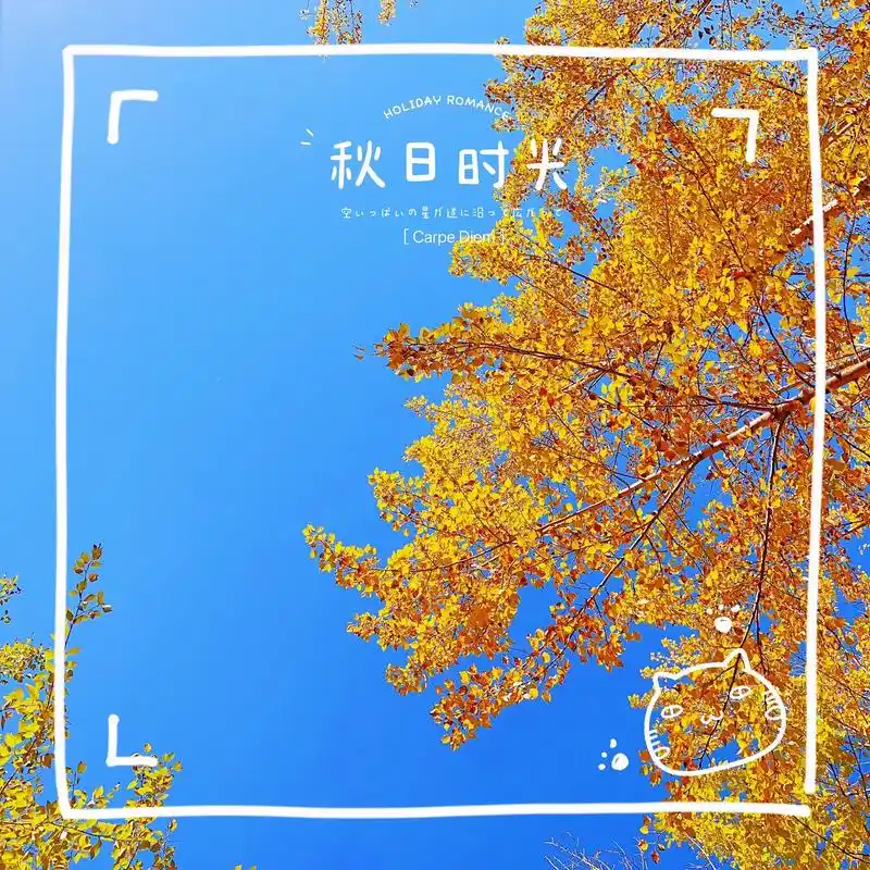 每个人都在用自己的方式记录秋天有人用文字有人用照片