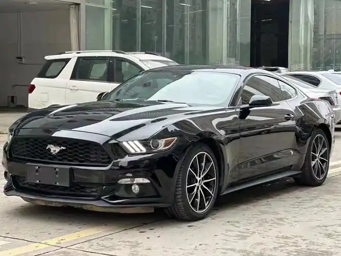 野马23t黑武士改装高清图片