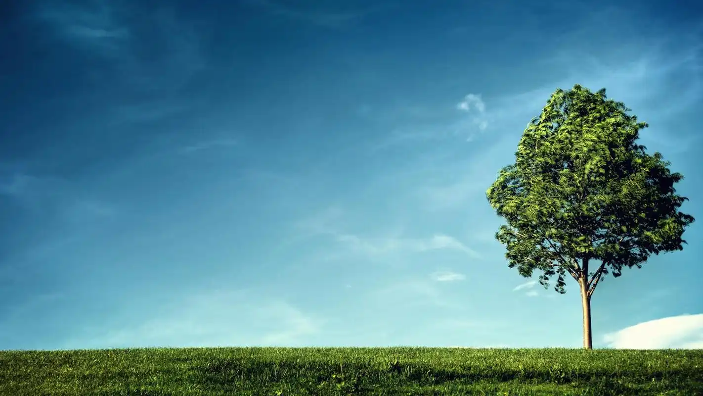 清新自然风景护眼桌面壁纸下载高清大图预览1920x1200_风景壁纸下载