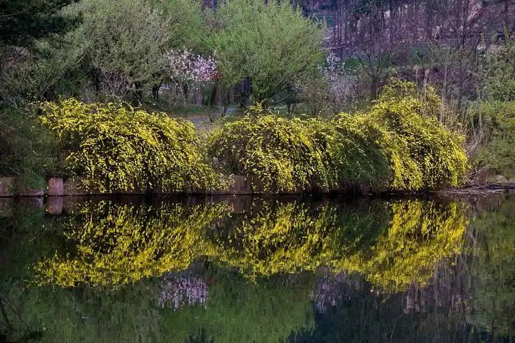 原创武汉野村谷走进乡野春天迷醉在山水田园