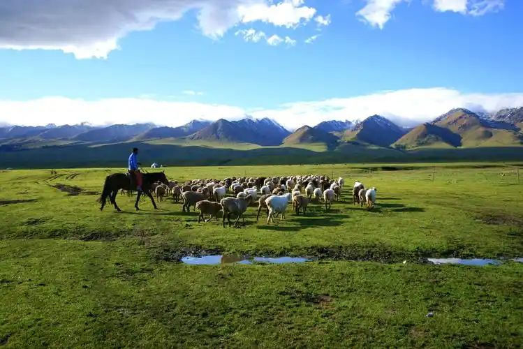 【巴音布鲁克摄影图片】巴音布鲁克草原风光摄影_bominhan123_太平洋