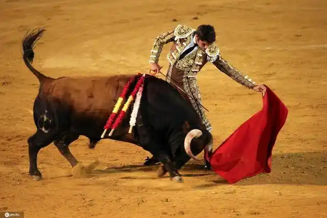精彩纷呈!西班牙举行斗牛表演赛