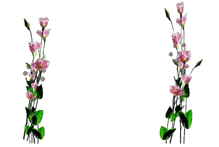 推荐阳光一点透明gif动画花草素材2