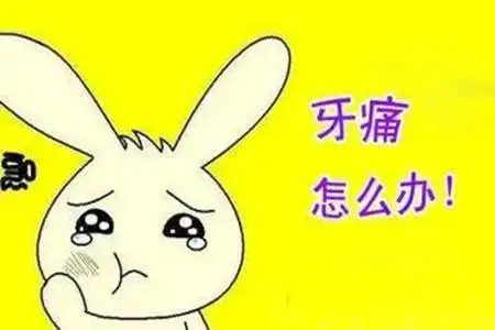 形容牙疼的经典句子 有关牙疼的幽默句子经典的文案2021年06月19日1