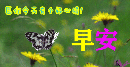 点丑感,做事也难,人心有多变,这世界要么你有才,要么你有貌,努力向前