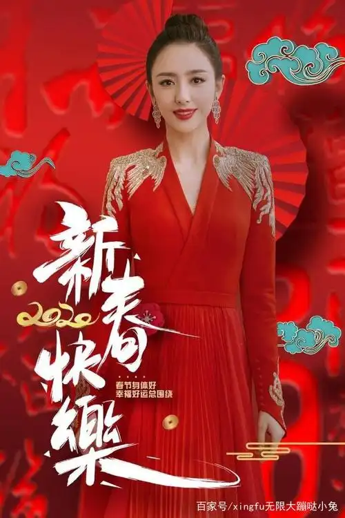 春节联欢晚会新面孔佟丽娅大方得体!