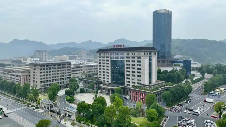 理想华莱:走向世界的中国黑茶 - 舌尖湖南 - 新湖南